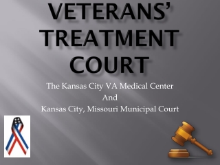 Veterans’ Treatment Court