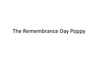 The Remembrance Day Poppy