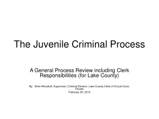 The Juvenile Criminal Process