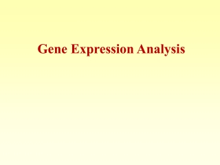 Gene Expression Analysis