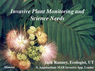 Invasive Plant Monitoring and Science Needs