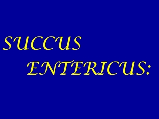 SUCCUS ENTERICUS: