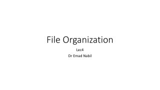 File Organization