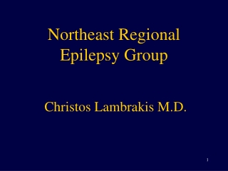 Northeast Regional Epilepsy Group Christos Lambrakis M.D.