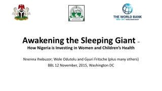 Awakening the Sleeping Giant – How Nigeria is Investing in Women and Children’s Health