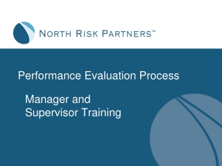 Performance Evaluation Process