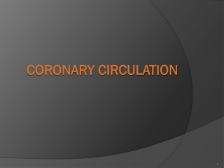 CORONARY CIRCULATION