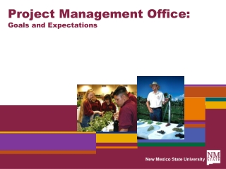Project Management Office: Goals and Expectations