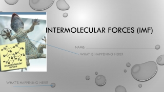 Intermolecular forces (IMF)