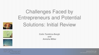 Challenges Faced by Entrepreneurs and Potential Solutions: Initial Review