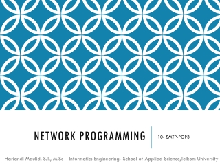 Network Programming