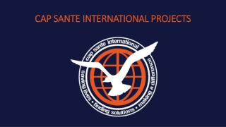 CAP SANTE INTERNATIONAL PROJECTS