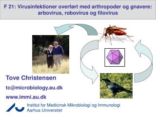 F 21: Virusinfektioner overført med arthropoder og gnavere: arbovirus, robovirus og filovirus