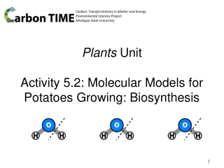 Plants Unit Activity 5.2: Molecular Models for Potatoes Growing: Biosynthesis