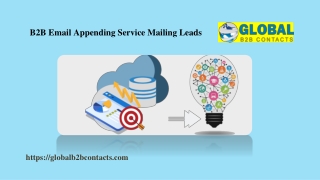B2B Email Appending Service Mailing Leads