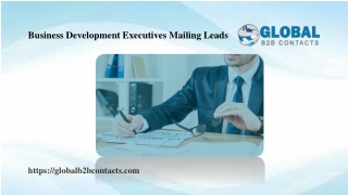Business Development Executives Mailing Leads