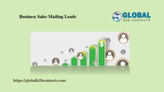 Business Sales Mailing Leads
