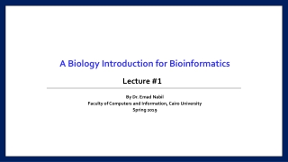 A Biology Introduction for Bioinformatics