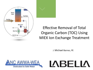 Effective Removal of Total Organic Carbon (TOC) Using MIEX Ion Exchange Treatment