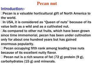Pecan nut Introduction:- Pecan is a valuable horticultural gift of North America to the world.