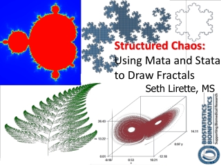 Structured Chaos: Using Mata and Stata to Draw Fractals