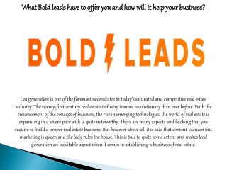 What Bold leads have to offer you and how will it help your business?