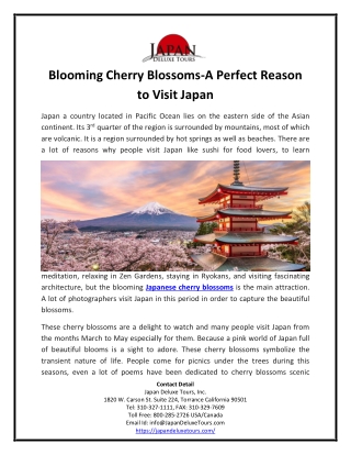 Blooming Cherry Blossoms-A Perfect Reason to Visit Japan