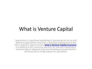 What is Venture Capital