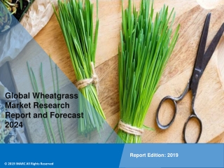 Wheatgrass Market 2019: Industry Trends, Share, Size, Demand and Future Scope by 2024