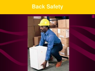 Back Safety