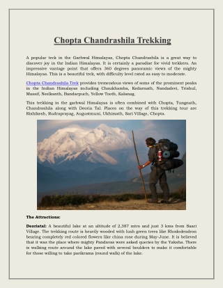 Chopta Chandrashila Trekking
