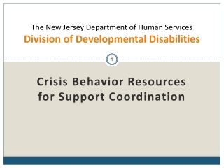 The New Jersey Department of Human Services Division of Developmental Disabilities