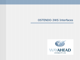 OSTENDO-3WS Interfaces