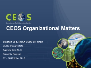 CEOS Organizational Matters