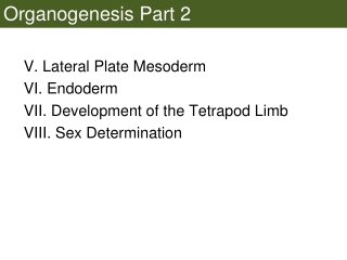 Organogenesis Part 2