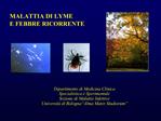 MALATTIA DI LYME Definizione