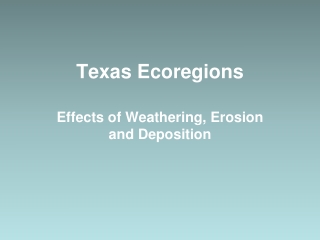 Texas Ecoregions