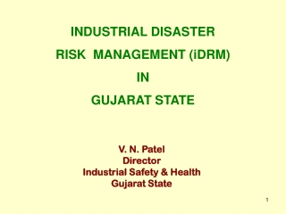 V. N. Patel Director Industrial Safety &amp; Health Gujarat State