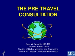 THE PRE-TRAVEL CONSULTATION