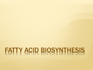 FATTY ACID BIOSYNTHESIS