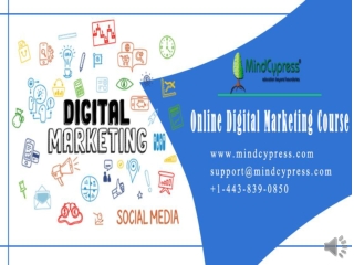 MindCypress ,#1 Online Digital Marketing Course | Digital Marketing Courses