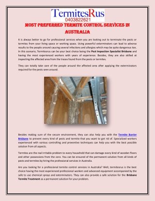 Most Preferred Termite Control Services in Australia