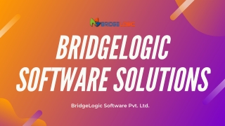 Custom ERP Software Development Solutions by BridgeLogic