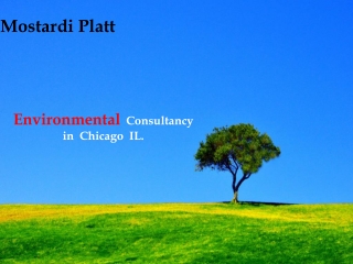 Environmental Consulting In Chicago IL