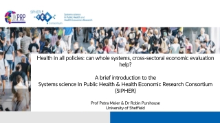 Health in all policies: can whole systems, cross-sectoral economic evaluation help?
