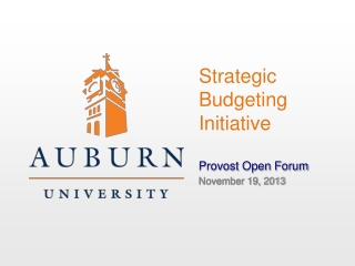 Strategic Budgeting Initiative