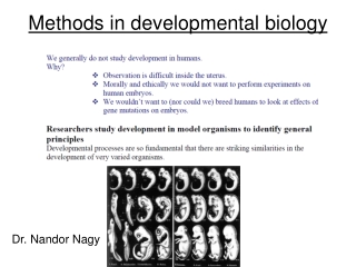 Methods in developmental biology