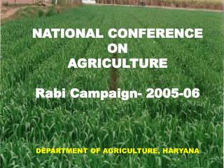 NATIONAL CONFERENCE ON AGRICULTURE Rabi Campaign- 2005-06