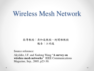 Wireless Mesh Network