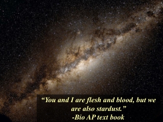“You and I are flesh and blood, but we are also stardust.” -Bio AP text book